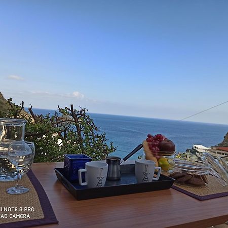 Popis Sea View Apartments Agia Pelagia 객실 사진